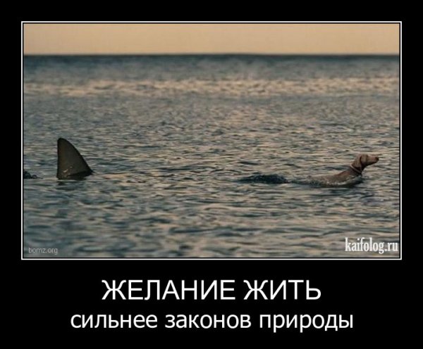 Демотиваторы про спорт со смыслом