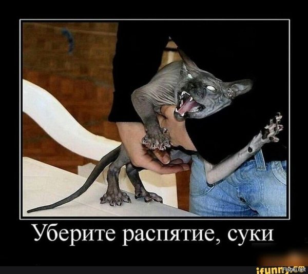 Демотиваторы злые