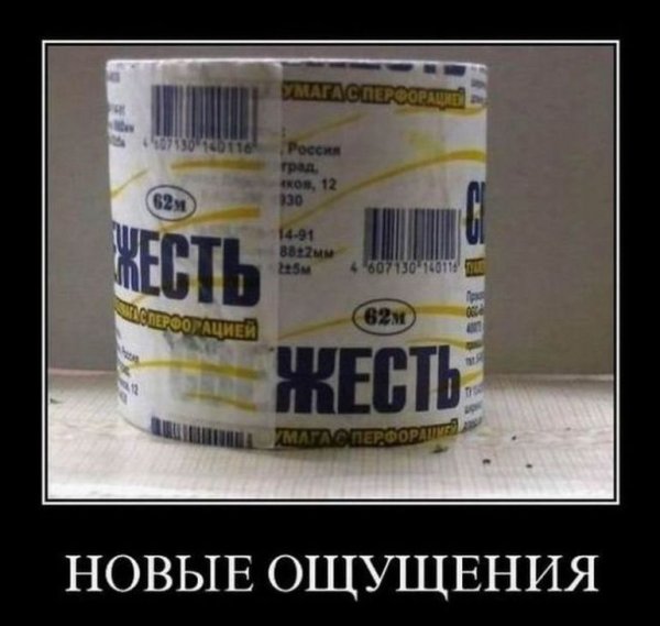 Туалетная бумага жесть
