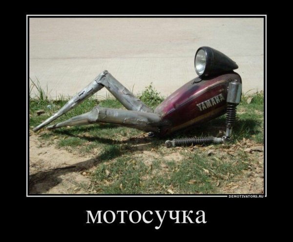 Венера демотиваторы