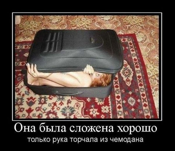 Чемодан юмор