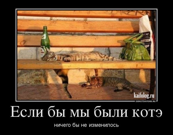 Чем удобряли то и выросло