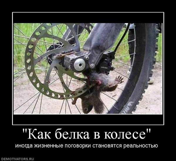 Лежачий полицейский демотиватор