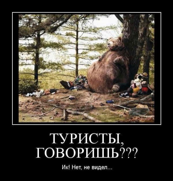 Жесть как она есть демотиватор