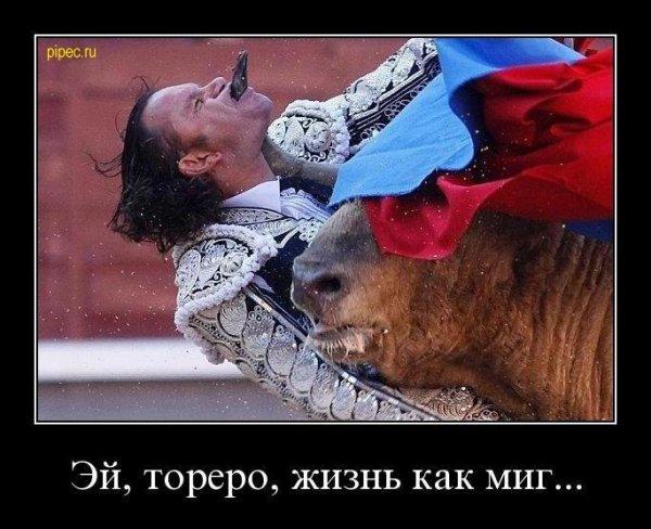 Демотиватор мир