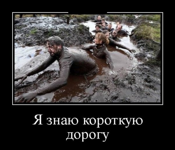 Демотиваторы смешные свежие прикольные