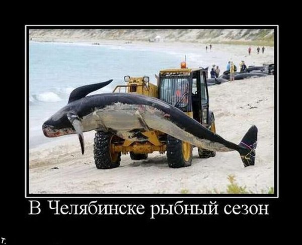 Демотиваторы про Челябинск