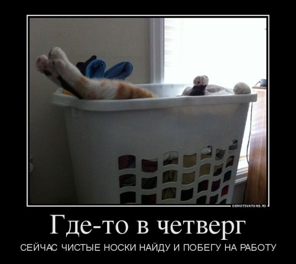 Шутки про четверг