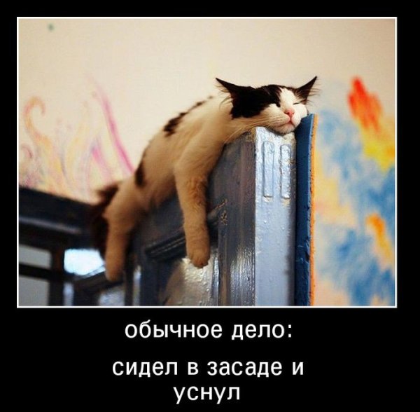 Анекдоты про детство
