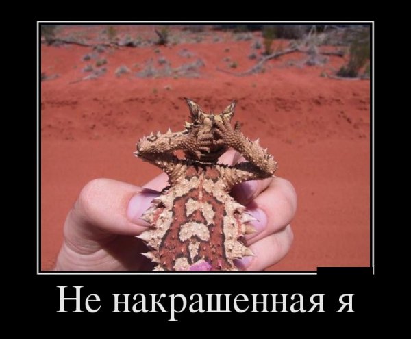 Демотиваторы про четверг смешные