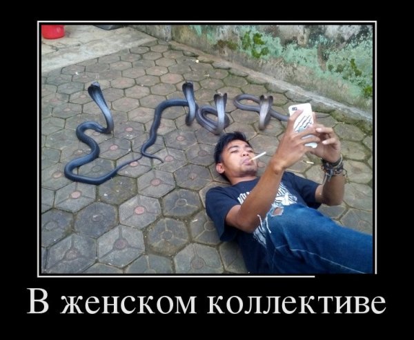 Гинеколог приколы