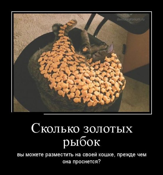 Демотиваторы про праздники