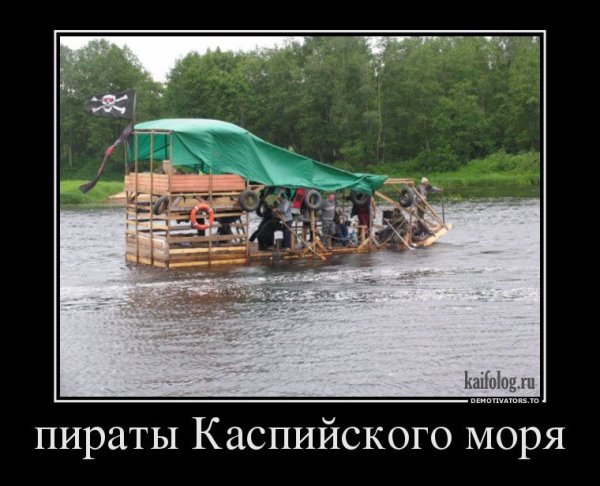 Демотиваторы Наташа и коты