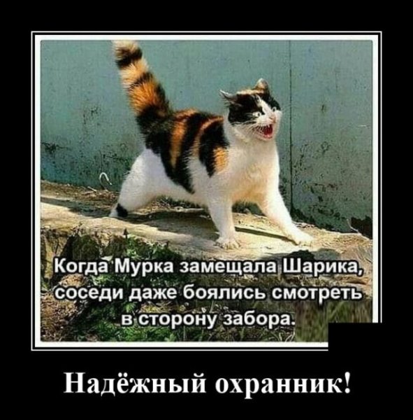 Приколы про любовь демотиваторы