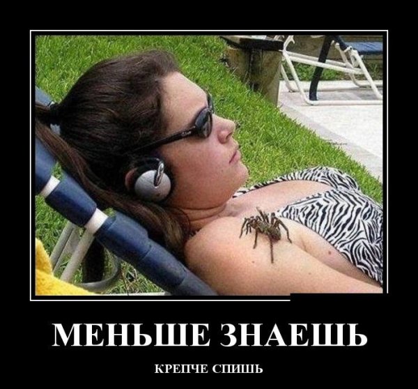 Меньше знаешь крепче спишь