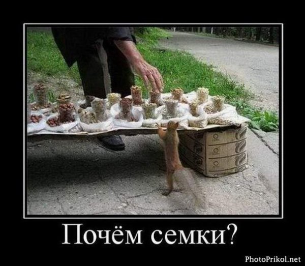 Очень Веселые демотиваторы