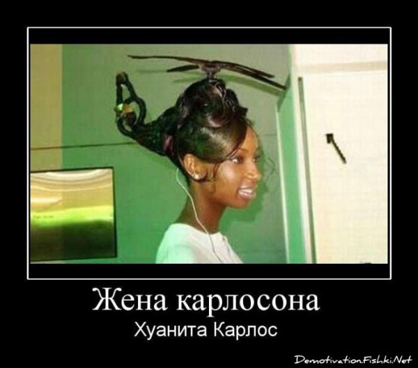 Демотиваторы про прически