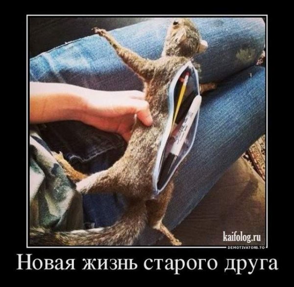 Очень смешные демотиваторы до слёз