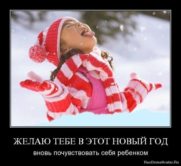 Приколы перед новым годом
