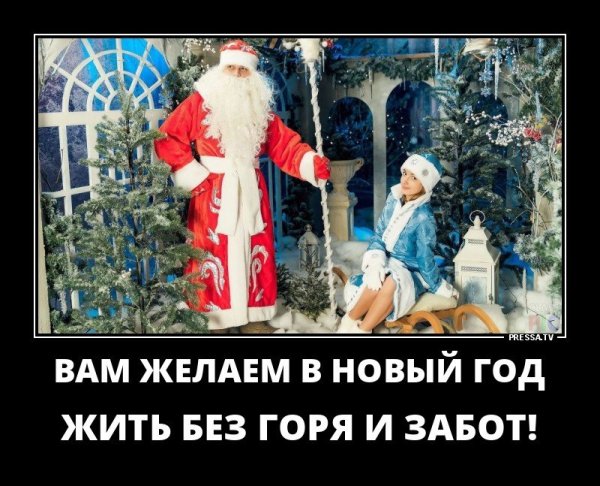 Новогодние демотиваторы