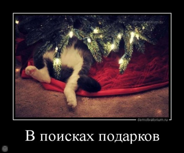 Прикольные демотиваторы на новый год