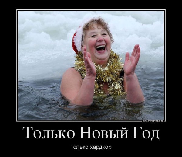 Демотиваторы про новый год