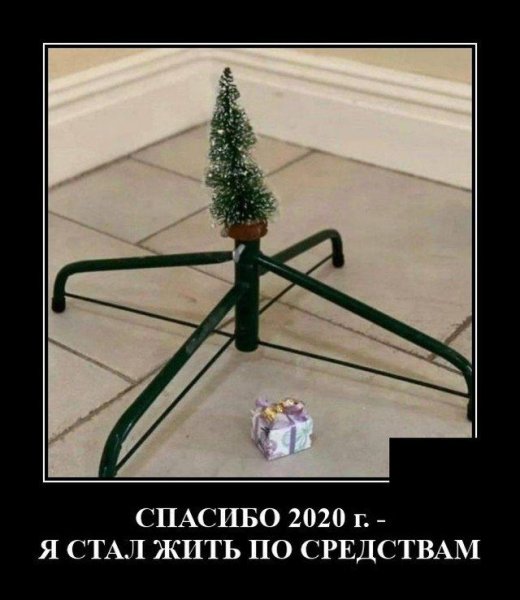 Мандарины прикол