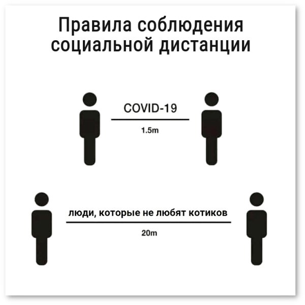 Шутки про социальную дистанцию