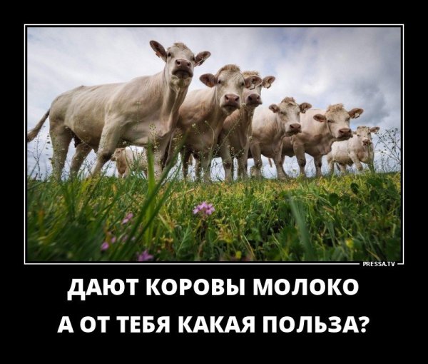 Ковид демотиваторы смешные