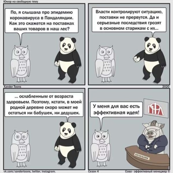 Сова эффективный менеджер коронавирус
