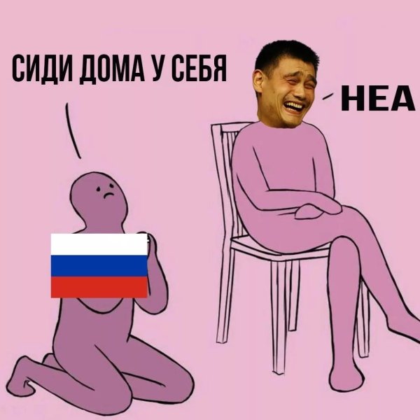 Лучшие мемы