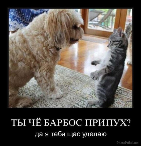 Прикольные демотиваторы с животными