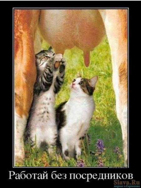 Позитивные демотиваторы