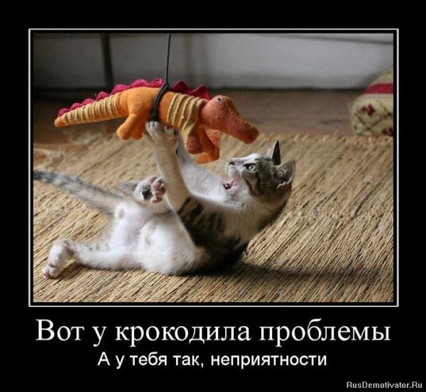 Фотоприколы и демотиваторы