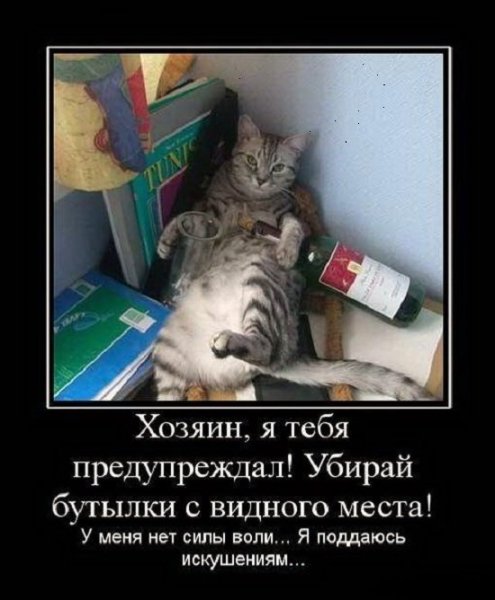 Веселые демотиваторы с животными