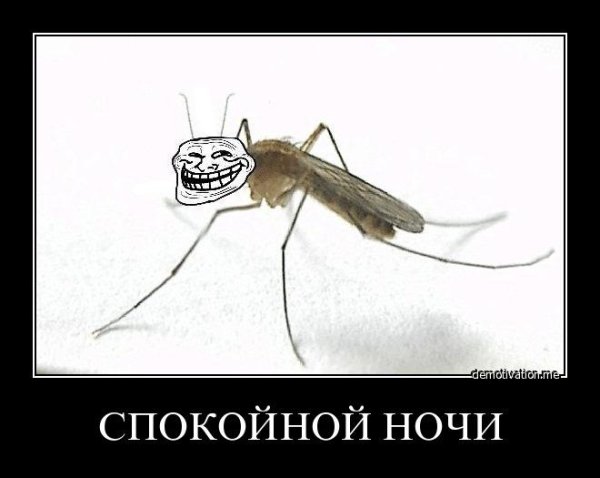 Спокойной ночи малыши демотиватор