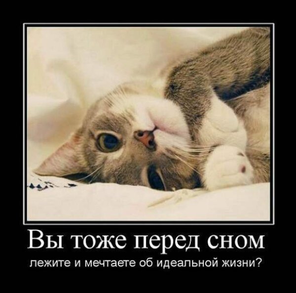 Спать демотиватор