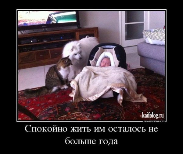 Вечер понедельника