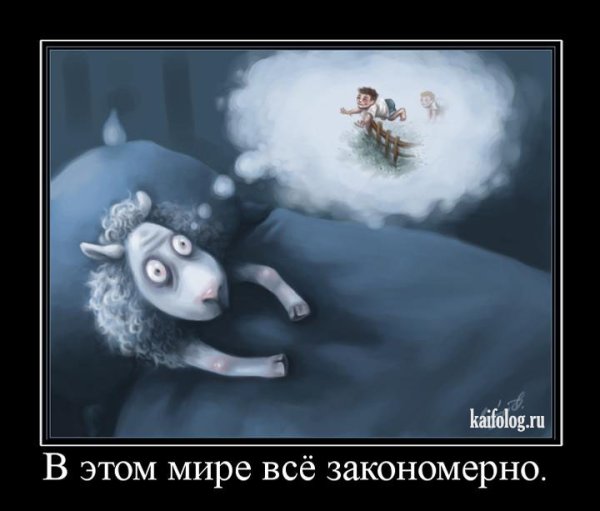 Спокойной ночи обезьяна