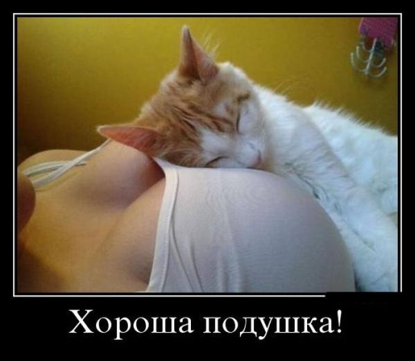 Юмор приколы позитив