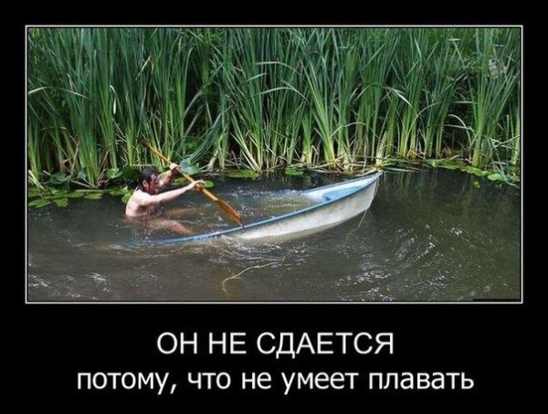 Очень смешные демотиваторы