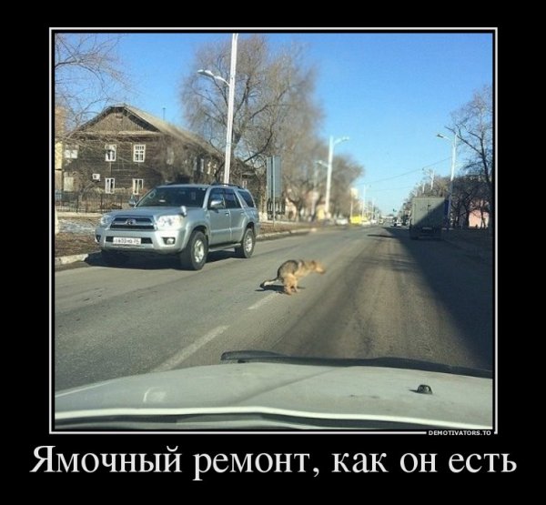 Демотиваторы приколы
