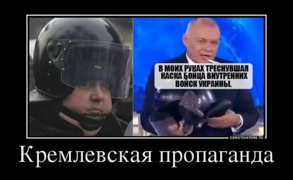 Пропаганда Мем