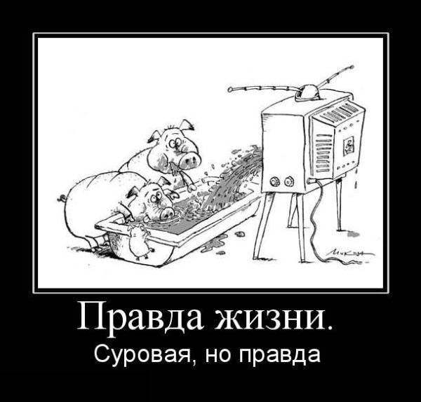 Суровая правда жизни