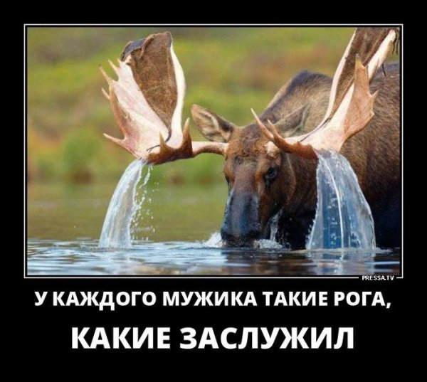 Самые смешные демотиваторы