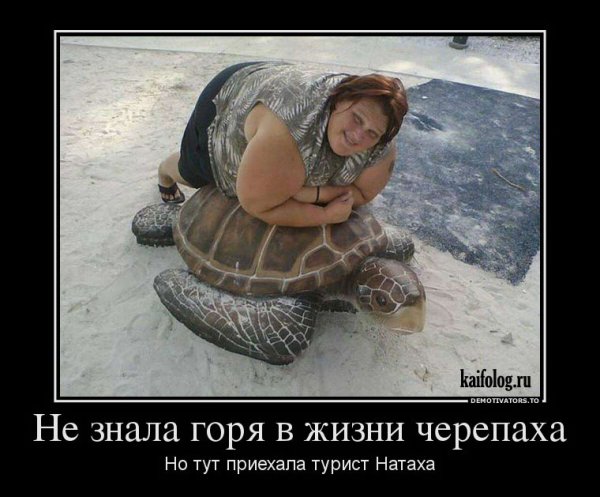 Прикольные демотиваторы