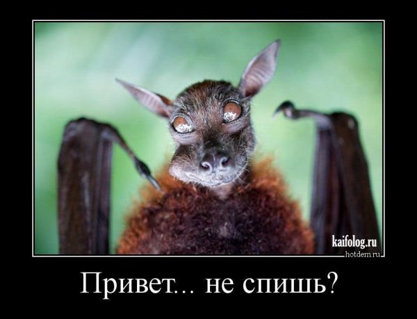 Демотиваторы смешные