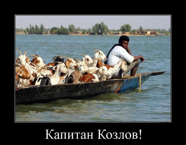 Демотиваторы смешные