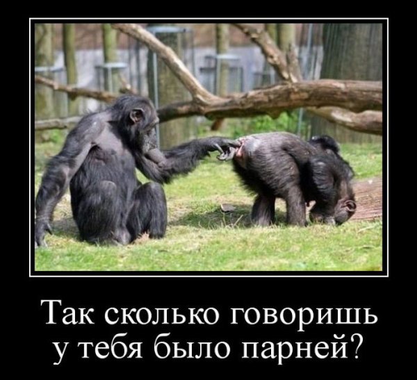 Демотиватор когда