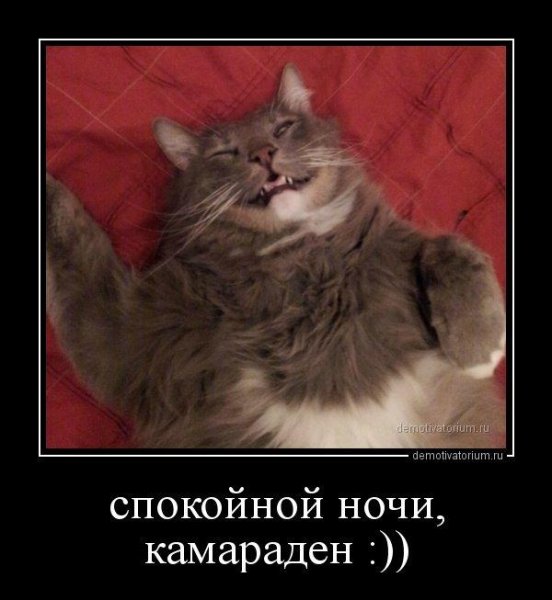 Спокойной ночи демотиватор